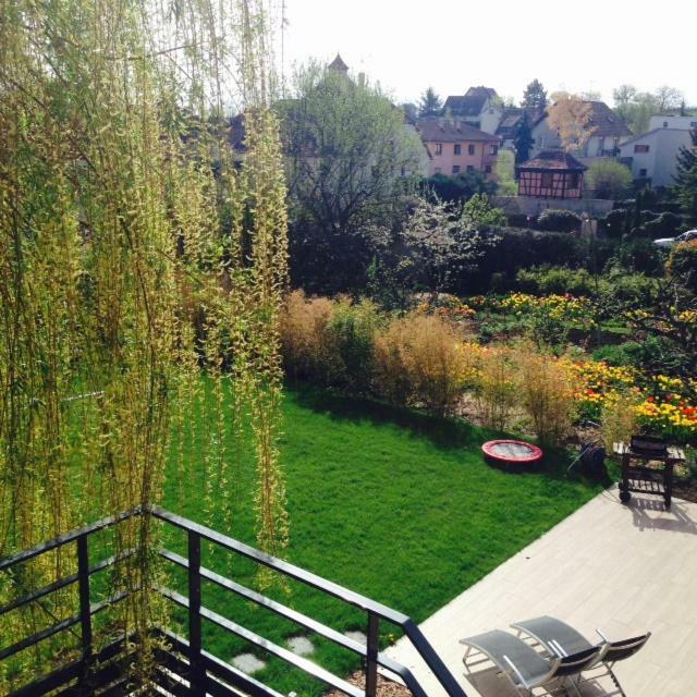 בבלנהיים Magnifique Gite Le Clos Des Pierres Route Des Vins D'Alsace מראה חיצוני תמונה